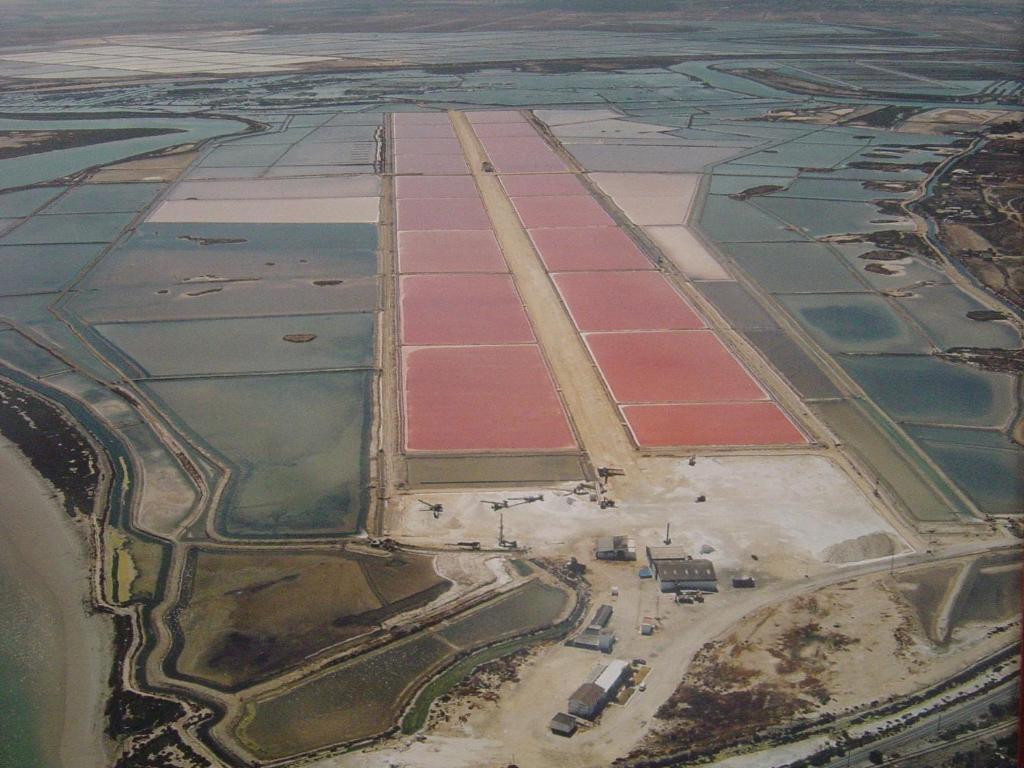 Alojamiento Rural Coto De La Isleta El Puerto de Santa María Buitenkant foto