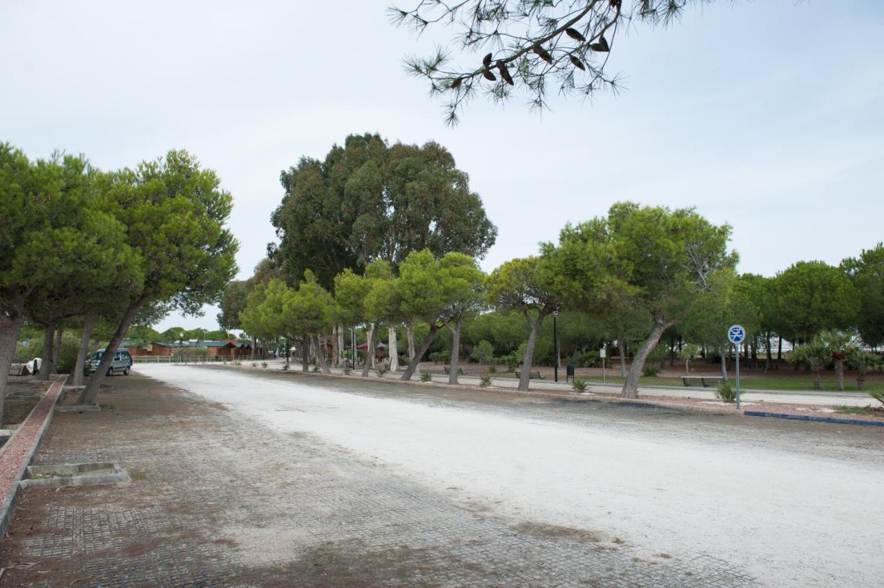 Alojamiento Rural Coto De La Isleta El Puerto de Santa María Buitenkant foto